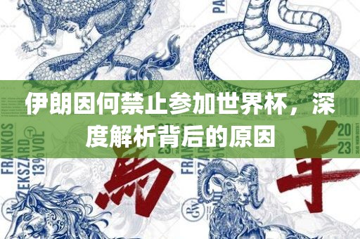 伊朗因何禁止参加世界杯，深度解析背后的原因