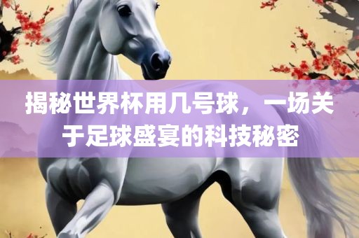 揭秘世界杯用几号球，一场关于足球盛宴的科技秘密