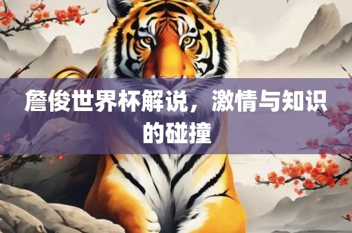詹俊世界杯解说，激情与知识的碰撞