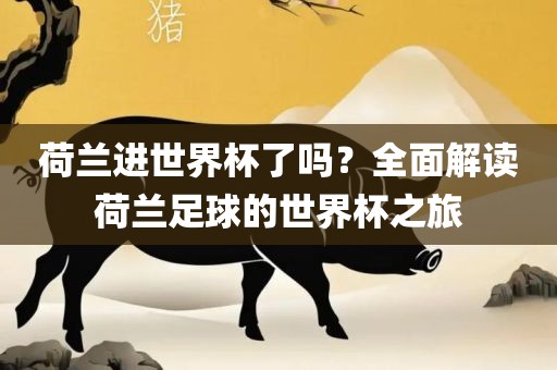 荷兰进世界杯了吗？全面解读荷兰足球的世界杯之旅