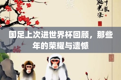 国足上次进世界杯回顾，那些年的荣耀与遗憾