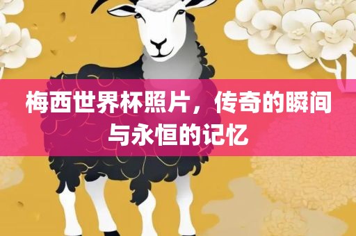 梅西世界杯照片，传奇的瞬间与永恒的记忆