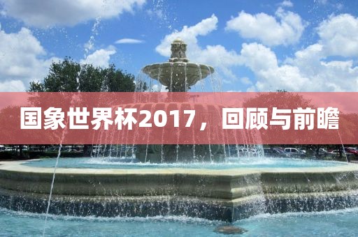 国象世界杯2017，回顾与前眉山市正发家政服务有限公司瞻