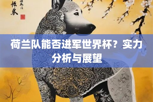 荷兰队能否进军世界杯？实力分析与展望眉山市正发家政服务有限公司