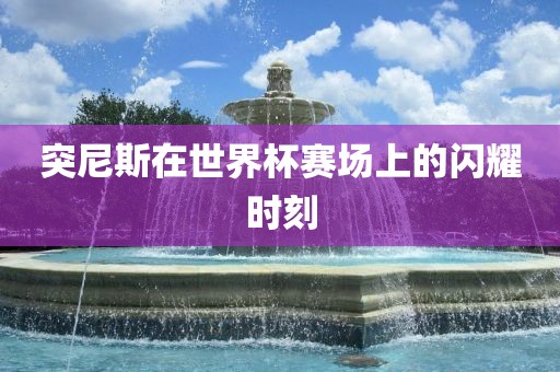 突尼斯眉山市正发家政服务有限公司在世界杯赛场上的闪耀时刻