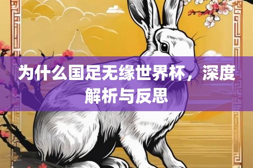 为什么国足无缘世界杯，深度解析与反思