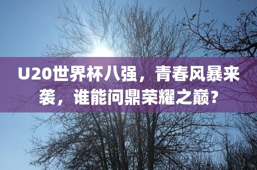 U20世界杯八强，青春风暴来袭，谁能问鼎荣耀之巅？