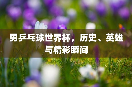 男乒乓球世界杯，历史、英雄与精彩瞬间