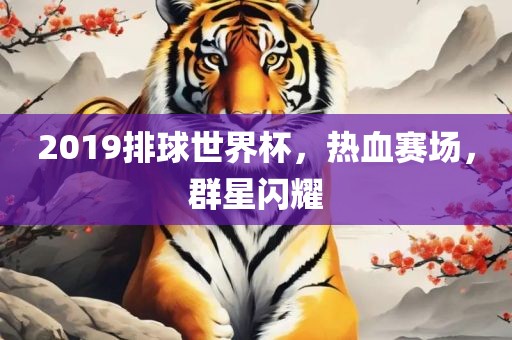 2019排球世界杯，热血赛场，群星闪耀
