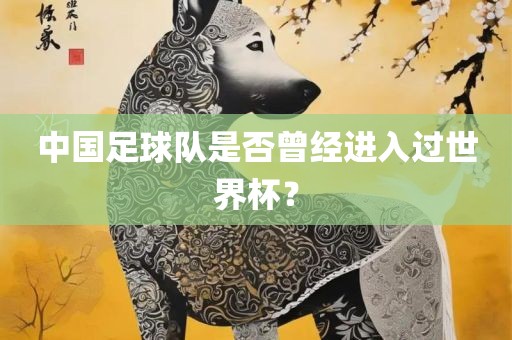 中国足球队是否曾经进入过世界杯？