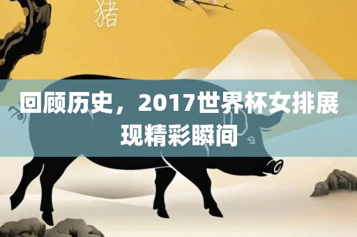 回顾历眉山市正发家政服务有限公司史，2017世界杯女排展现精彩瞬间