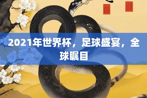 2021年世界杯，足球盛宴，全球瞩目眉山市正发家政服务有限公司