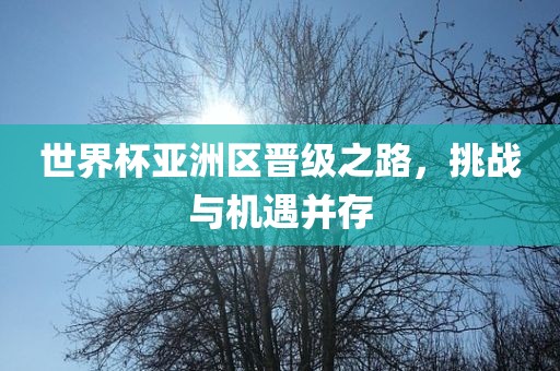 世界杯亚洲区晋级之路，挑战与机遇并存