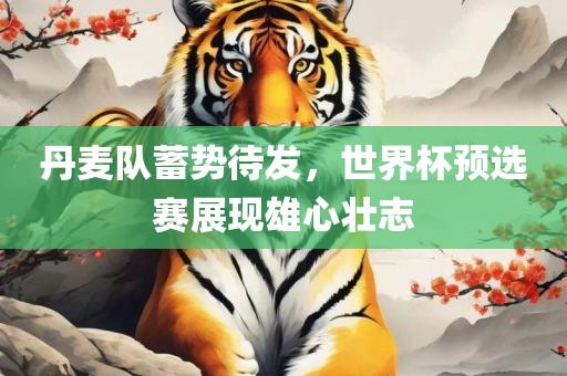丹麦队蓄势待发，世界杯预选赛展现雄心壮志