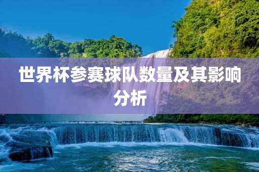 世界杯参赛球队数量及其影响分析眉山市正发家政服务有限公司