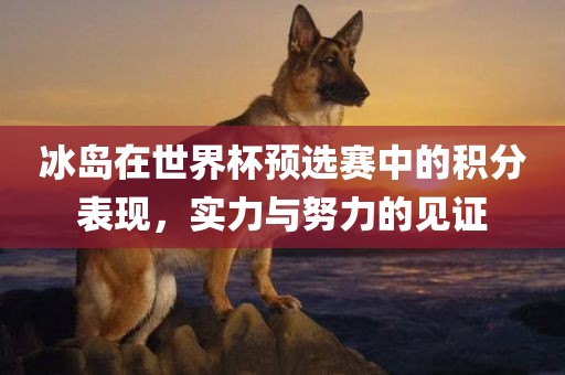 冰岛在世界杯预选赛中的积分表现，实力与努力的见证眉山市正发家政服务有限公司
