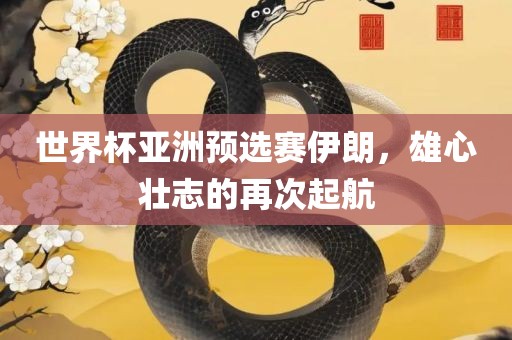 世界杯亚洲预选赛伊朗，雄心壮志的再次起航