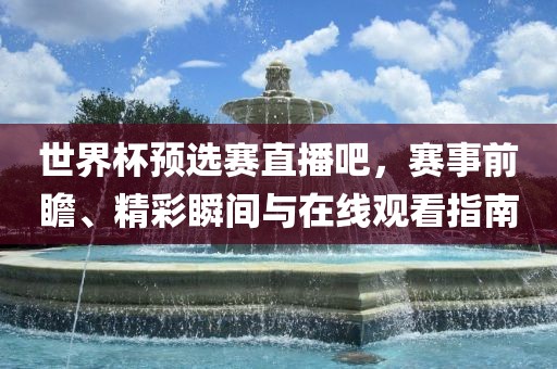 世界杯预选赛直播眉山市正发家政服务有限公司吧，赛事前瞻、精彩瞬间与在线观看指南