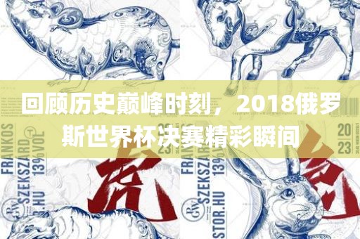 回顾历史巅峰时刻，2018俄罗斯世界杯决赛精彩瞬间眉山市正发家政服务有限公司