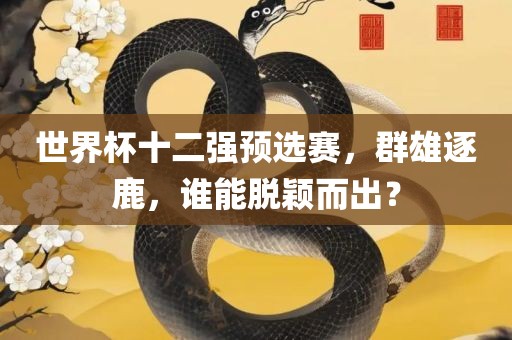 世界杯十二强预选赛，群雄逐鹿，谁能脱颖而出？