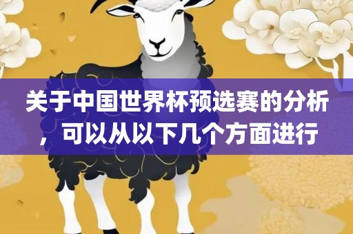 关于中国世界杯预选赛的分析，可以从以下几个方面进行