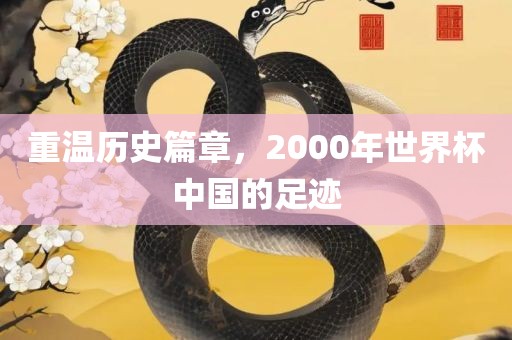 重温历史篇章，2000年世界杯中国的足迹眉山市正发家政服务有限公司