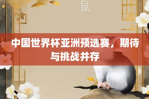 中国世界杯亚洲预选赛，期待与挑战并存