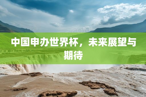 中国申办世界杯，未来展望与期待