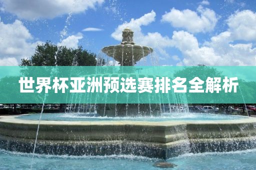 世界杯亚洲预选赛排名全解析