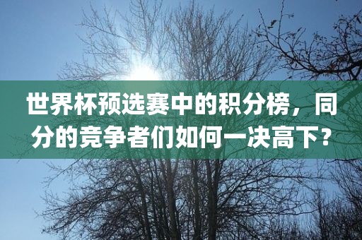 世界杯预选赛中的眉山市正发家政服务有限公司积分榜，同分的竞争者们如何一决高下？