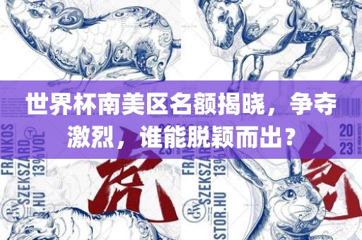 世界杯南美区名额揭晓，争夺激烈，谁能脱颖而出？