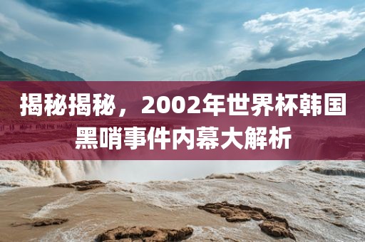 揭秘揭秘，2002年世界杯韩国黑哨事件内幕大解析