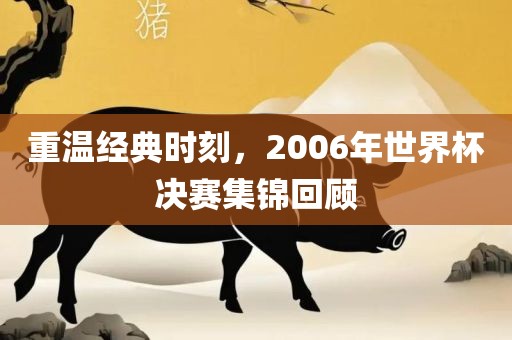 重温经典时刻，2006年世界杯决赛集锦回顾