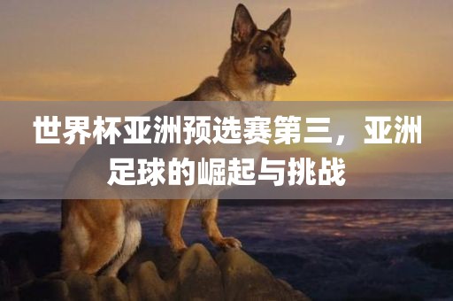 世界杯亚洲预选赛第三，亚洲足球的崛起与挑战