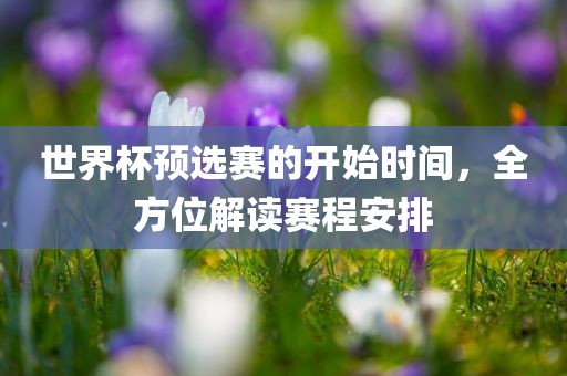 世界杯预选赛的开始时间，全方位解读赛程安排