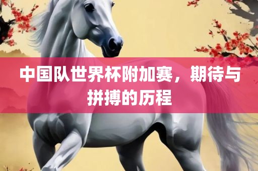 中国队世界杯附加赛，期待与拼搏的眉山市正发家政服务有限公司历程