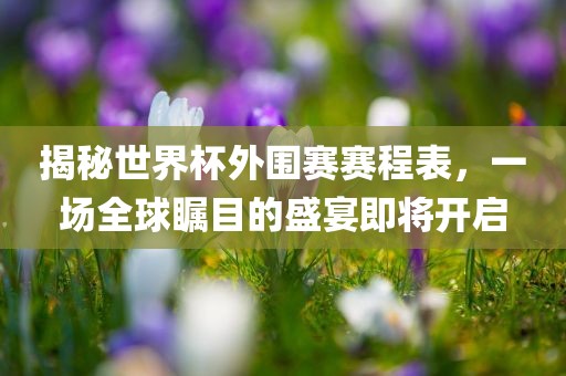 揭秘世界杯外围赛赛程表，一场全球瞩目的盛宴即将开启眉山市正发家政服务有限公司