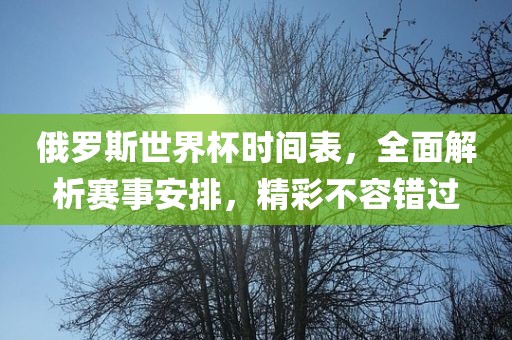 俄罗斯世界杯时间表，全面解析赛事安排，精彩不容错过