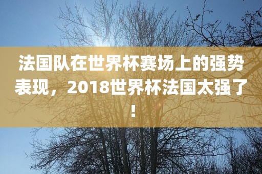 法国队在世界杯赛场上的强势表现，2018世界杯法国太强了！眉山市正发家政服务有限公司