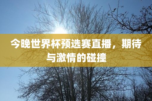 今晚世界杯预选赛直播，期待与激情的碰撞