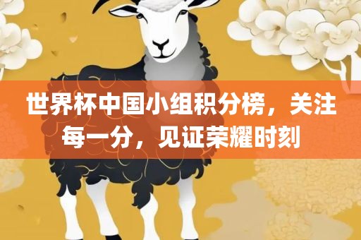 世界杯中国小组积分眉山市正发家政服务有限公司榜，关注每一分，见证荣耀时刻