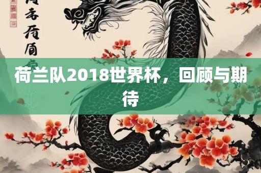 荷兰队2018世界杯，回顾与期待