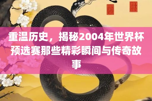 重温历史，揭秘2004年世界杯预选赛那些精彩瞬间与传奇故事眉山市正发家政服务有限公司