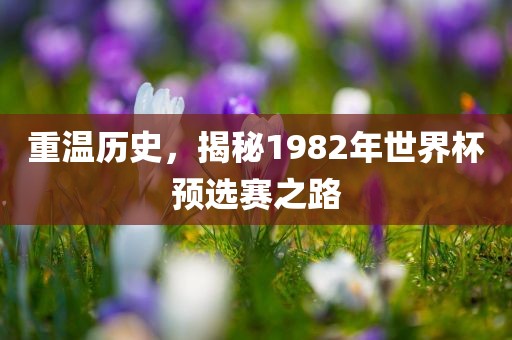 重温历史，揭秘1982年世界杯预选赛之路眉山市正发家政服务有限公司