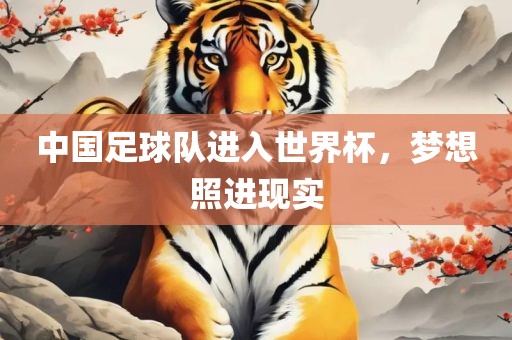 中国足球队进入世界杯，梦想照进现实