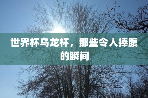 世界杯乌龙杯，那些令人捧腹的瞬间