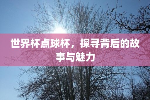 世界杯点球杯，探寻背后的故事与魅力