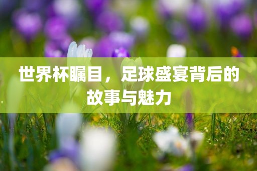 世界杯瞩目，足球盛宴背后的故事与魅力眉山市正发家政服务有限公司