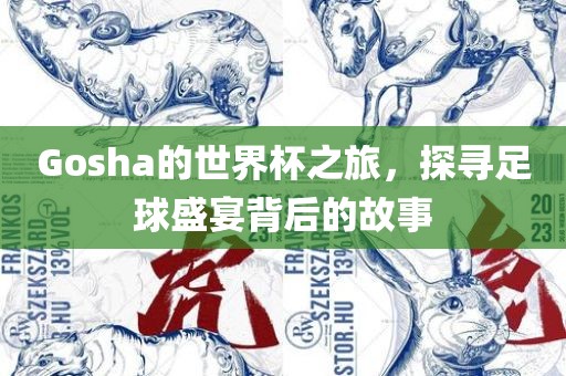 Gosha的世界杯之旅，探寻足球盛眉山市正发家政服务有限公司宴背后的故事