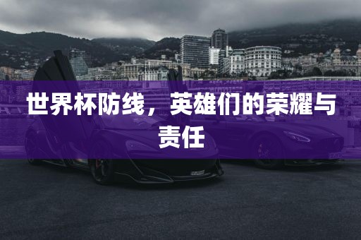 世界杯防线，英雄们的荣耀与责任眉山市正发家政服务有限公司